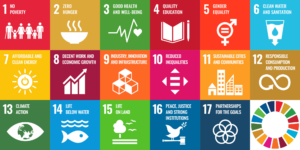 Icons depicting the 17 Sustainable Development Goals