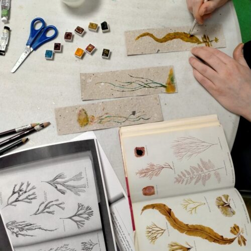 Craft activities as part of West Dunbartonshire Libraries' Green Libraries Scotland Grant funded project Environmentalist-in-Residence.