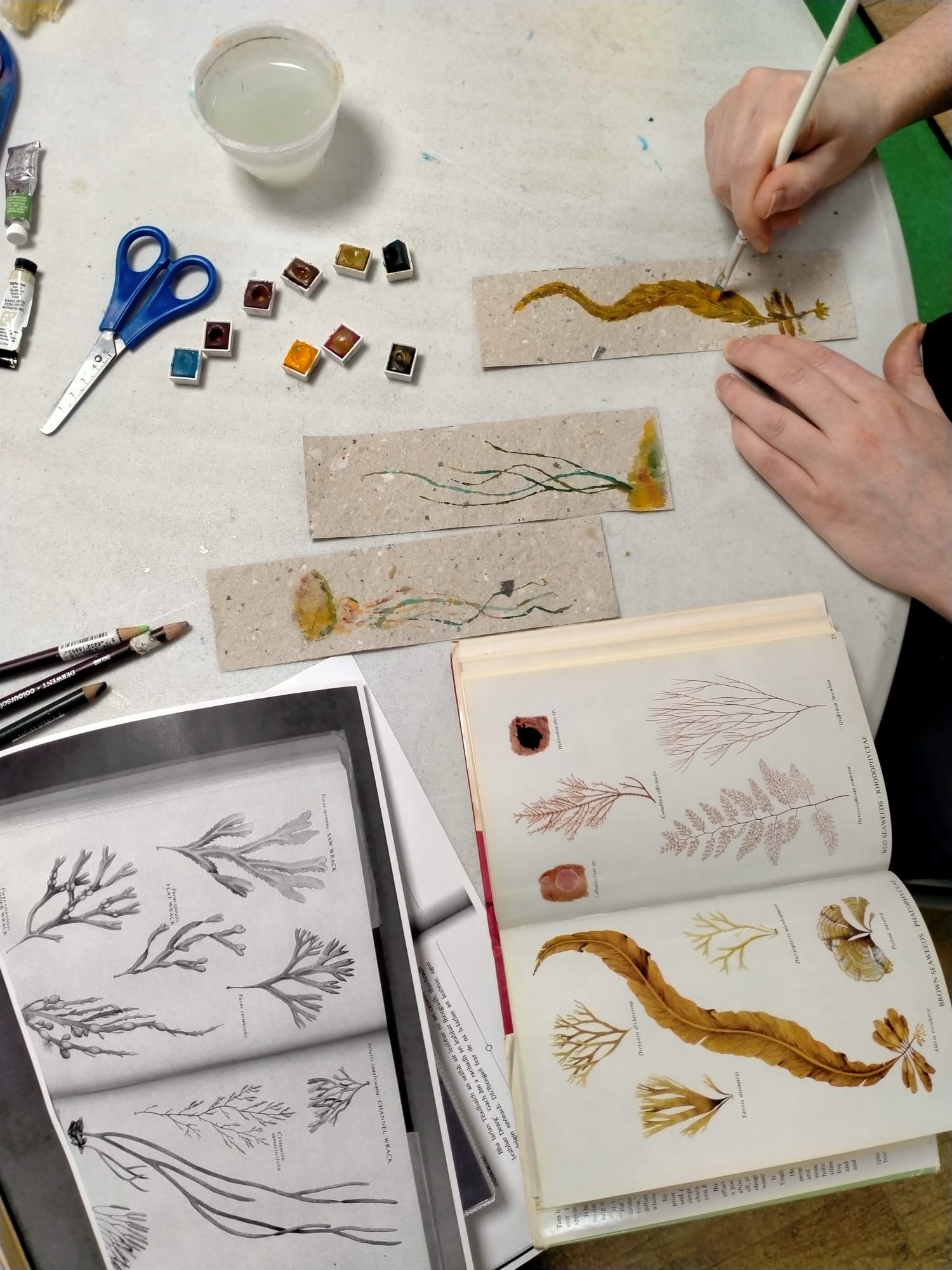 Craft activities as part of West Dunbartonshire Libraries' Green Libraries Scotland Grant funded project Environmentalist-in-Residence.