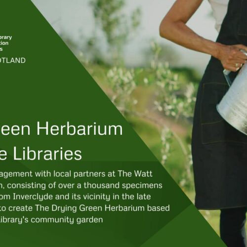 Drying Green Herbarium at Inverclyde Libraries, a Green Libraries Scotland Grant project 2024-25. Showing a woman with a watering can in a garden.