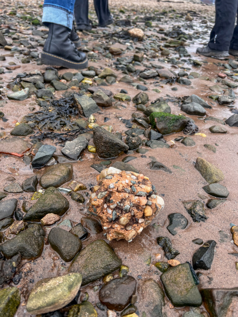 A shoreline walk as part of West Dunbartonshire Libraries' Green Libraries Scotland Grant funded project Environmentalist-in-Residence.