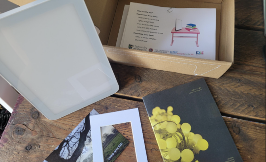 A photograph of a wintering well box, including a guidebook, a SAD lamp & plug, a frame and support material.